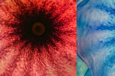 베타 지역 치열한 경쟁 공간