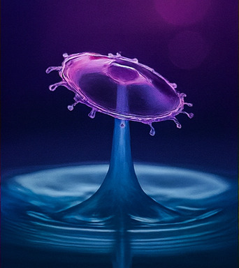 몰입형 탐험 체험